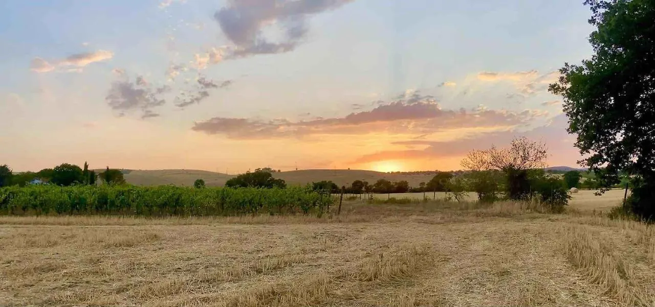 Vila Il Girasole Terzuolo Manciano Farma