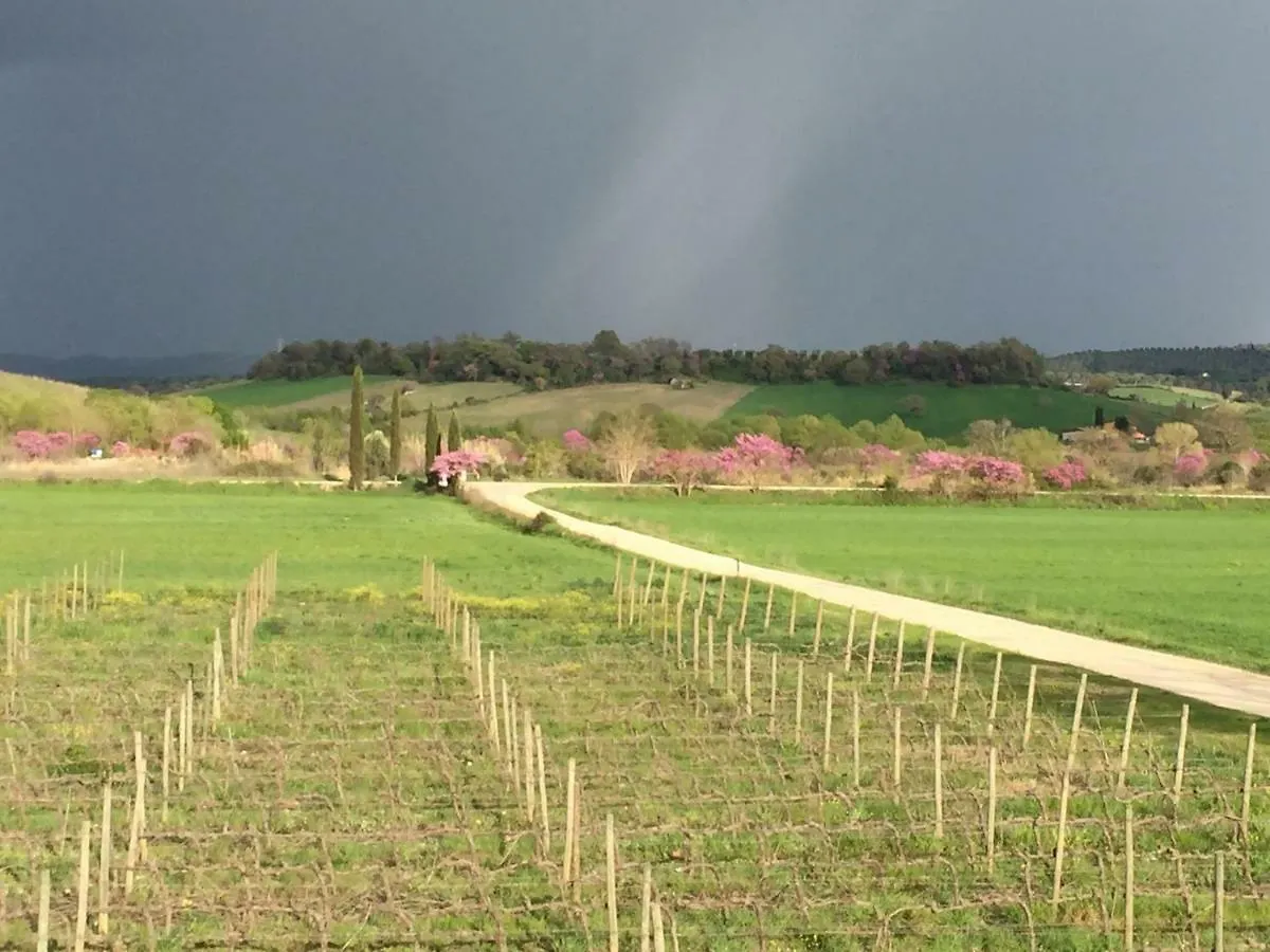 Vila Il Girasole Terzuolo Manciano Farma
