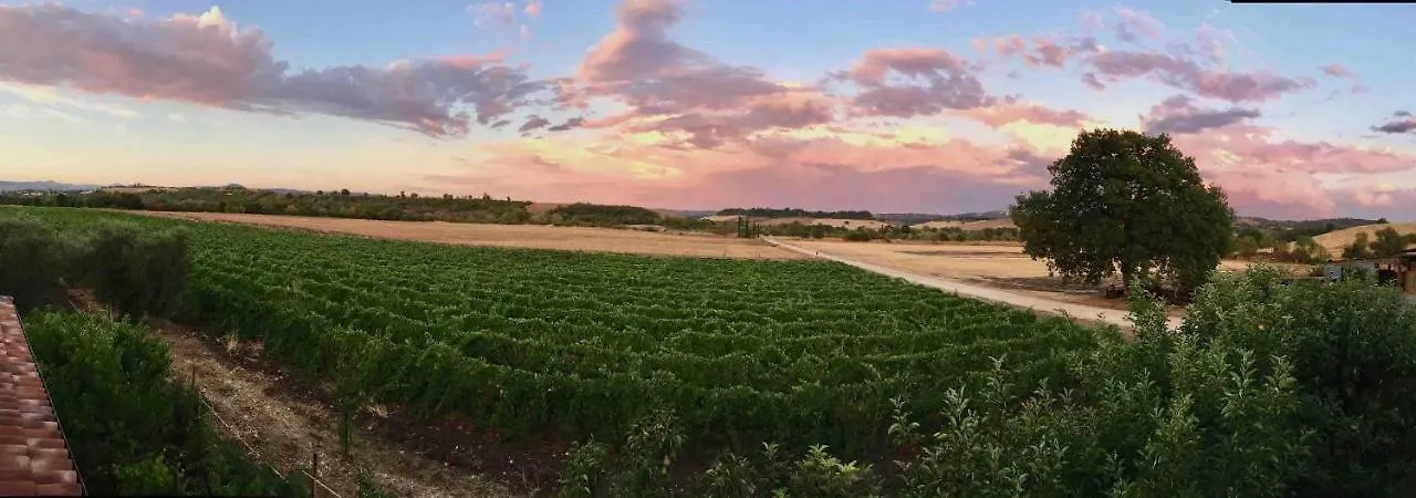 Il Girasole Terzuolo Villa Manciano Farm stay