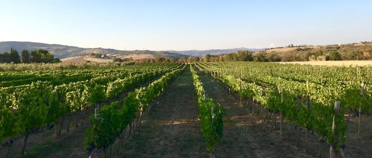 Farm stay Il Girasole Terzuolo Villa Manciano