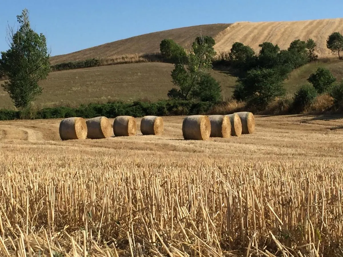 Farm stay Il Girasole Terzuolo Villa Manciano