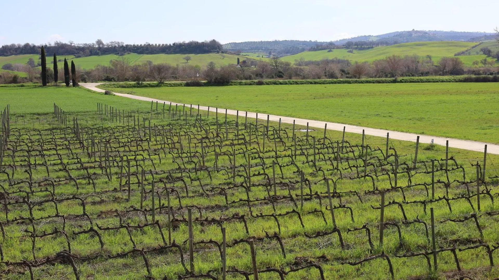 Farm stay Il Girasole Terzuolo Villa Manciano Italy