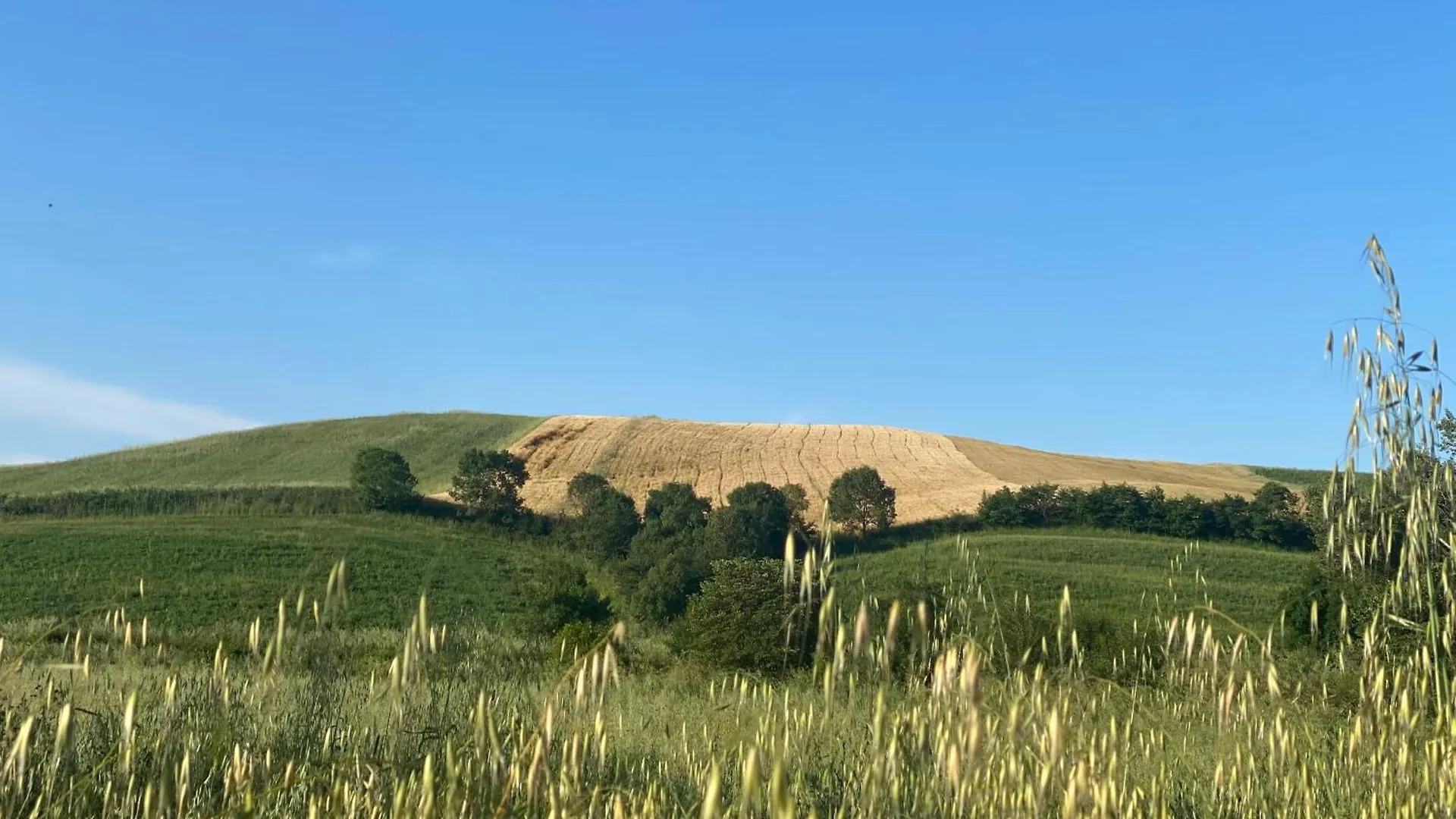 Farm stay Il Girasole Terzuolo Villa Manciano