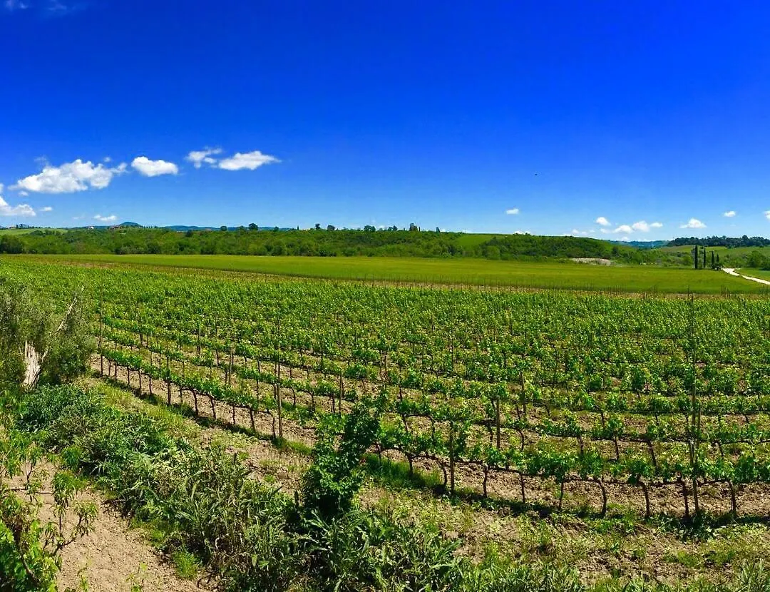 Farm stay Il Girasole Terzuolo Villa Manciano