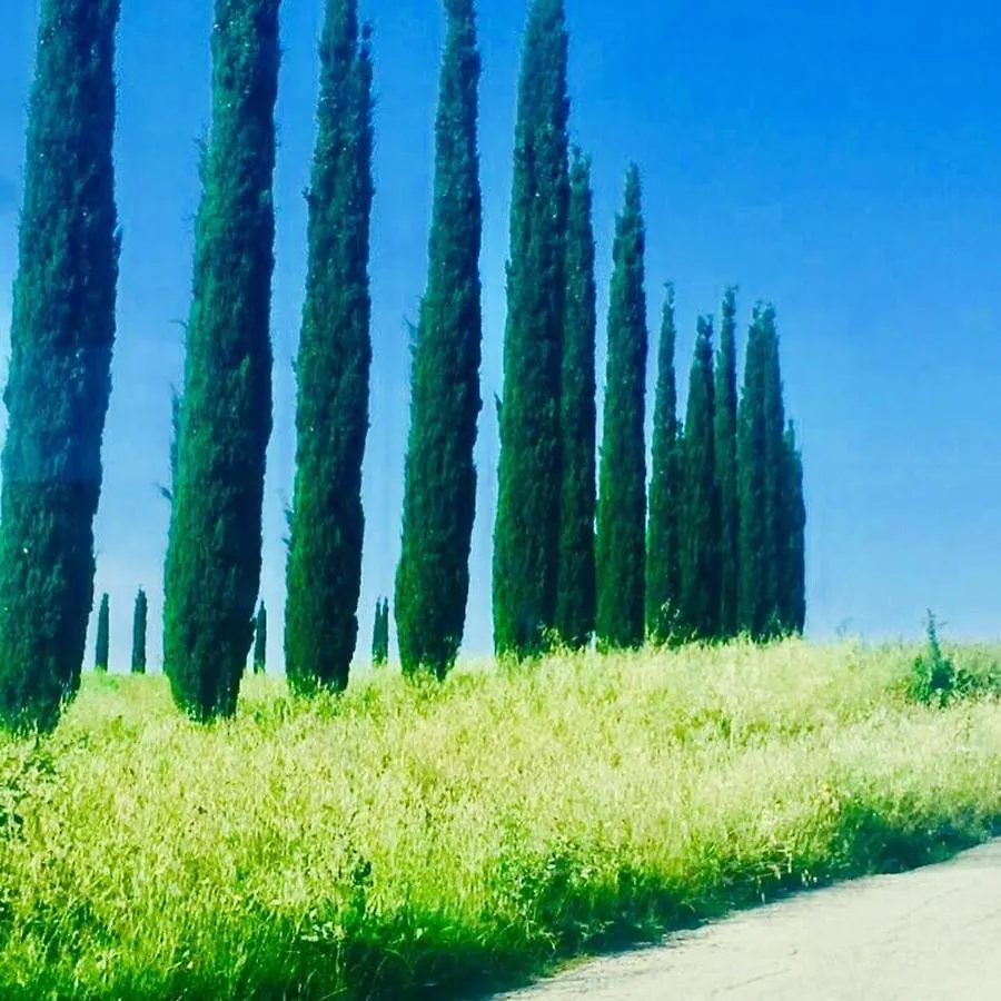 Il Girasole Terzuolo Villa Manciano